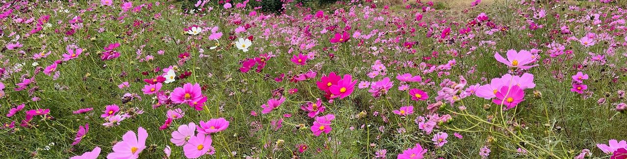 from Inside and Outside