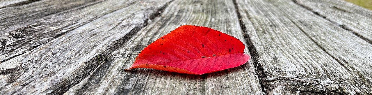 from Inside and Outside