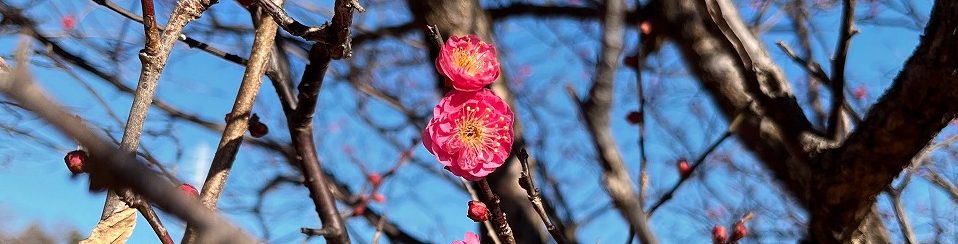 from Inside and Outside