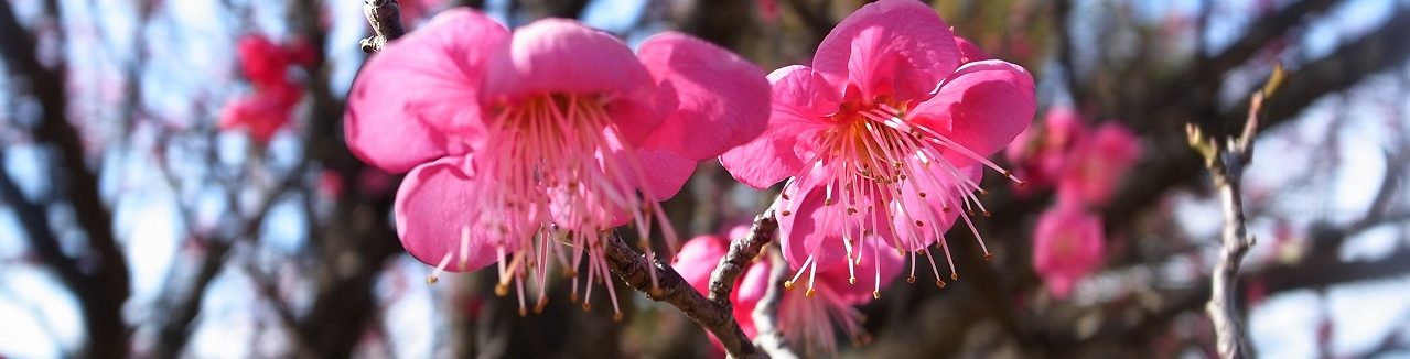 from Inside and Outside