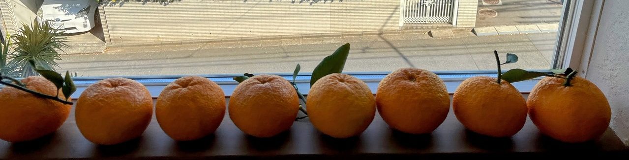 from Inside and Outside